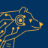 Berkeley Artificial Intelligence Research